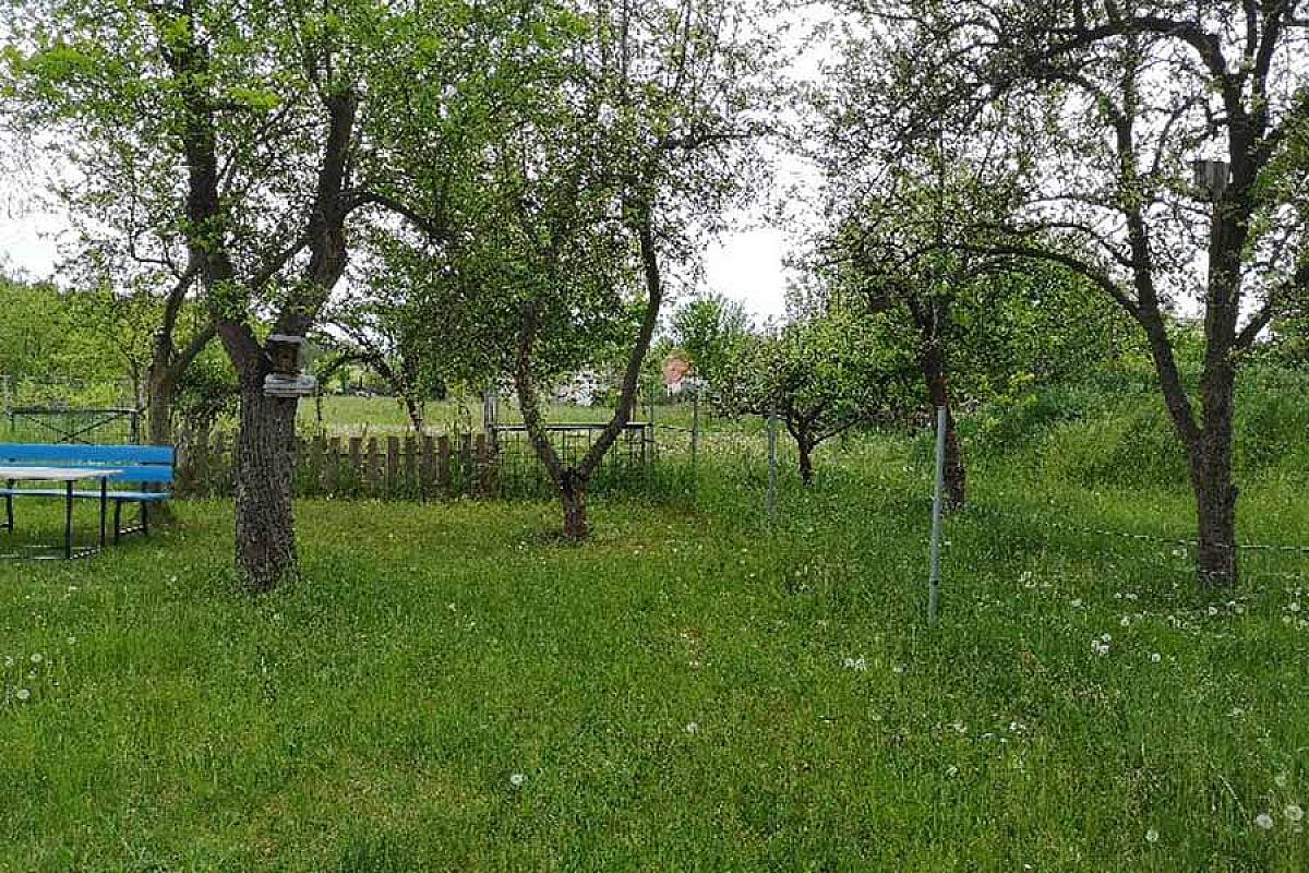 Ferienwohnung im Vogelhaus - Obstwiese