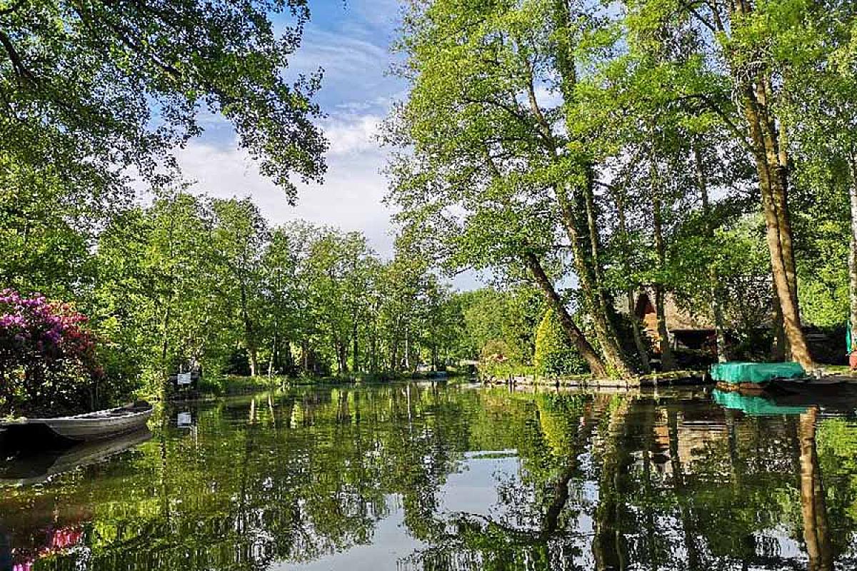 Ferienwohnung im Vogelhaus - Spreewald