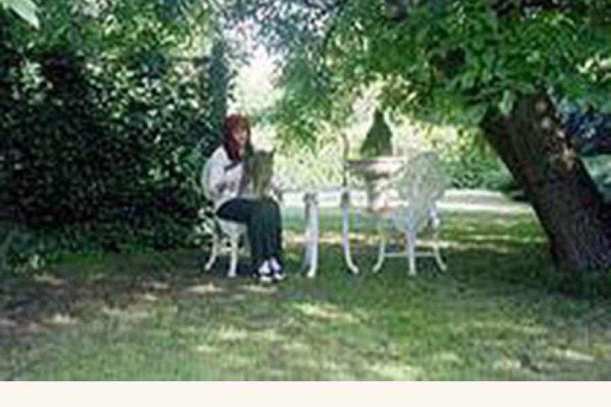 Pension Spreewaldengel - idyllische_Sitzgruppe_unterm_Nussbauma