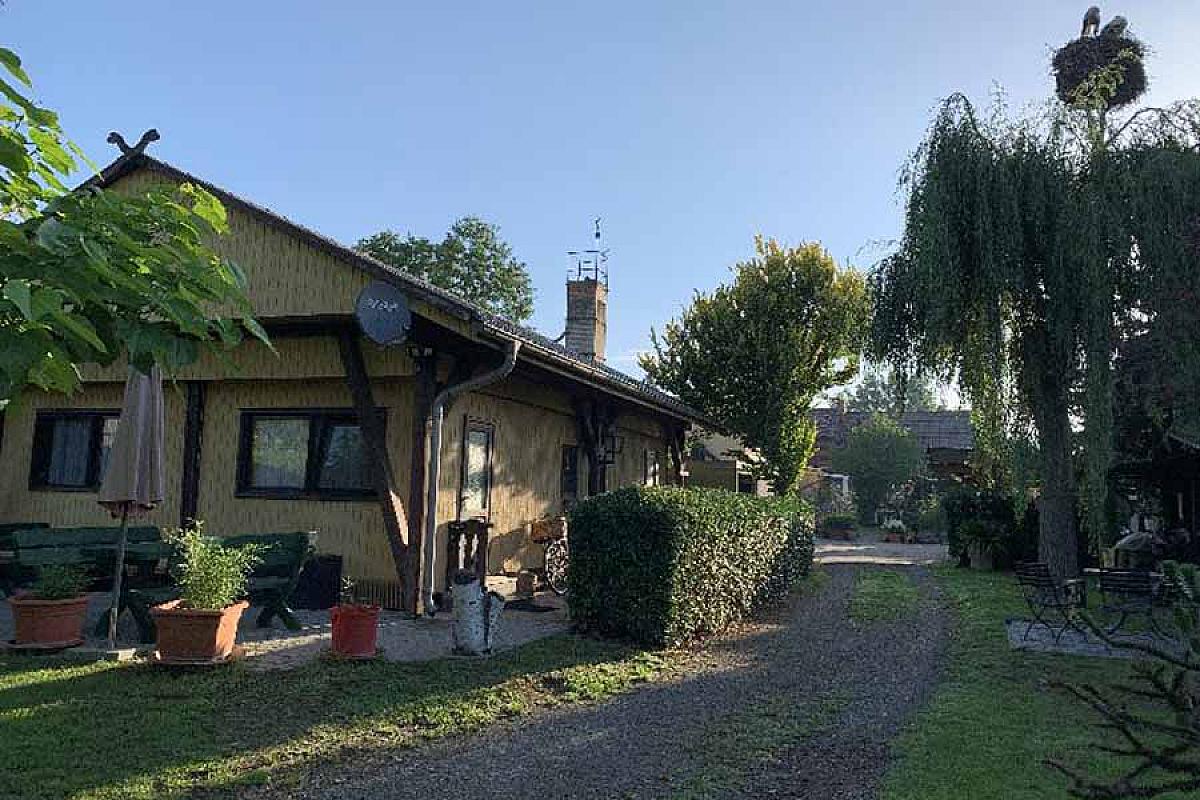 Appartement im Spreewald - IMG_2419.